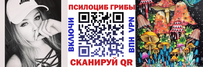 ссылка на мегу   где продают наркотики  Норильск  Галлюциногенные грибы мухоморы 